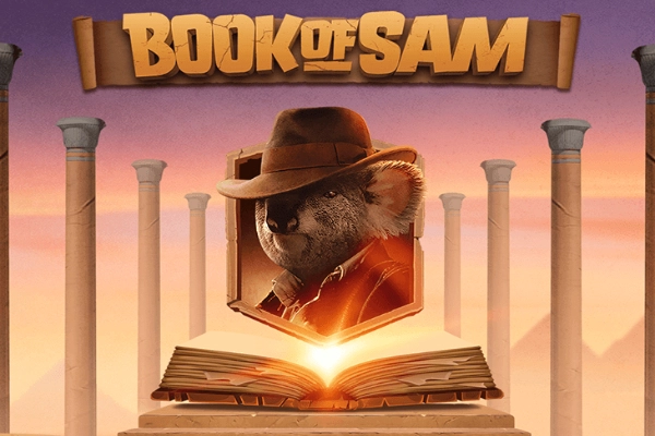 Book Of Sam
